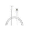 Apple Lightning auf USB Kabel 1,0m