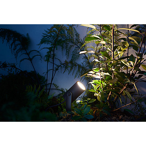 Philips Hue LED Gartenspot Lily Basis-Set (1flg.) schwarz