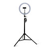 4smarts Selfie Tripod XL und Mini mit LED-Lampe LoomiPod schwarz