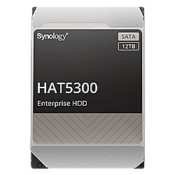 Synology HAT5300-12 - 12 TB 7200 rpm 256 MB 3,5 Zoll SATA 6 Gbit/s