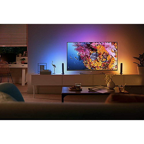Philips Hue White and Color Ambiance Play Lightbar schwarz inkl. Netzteil