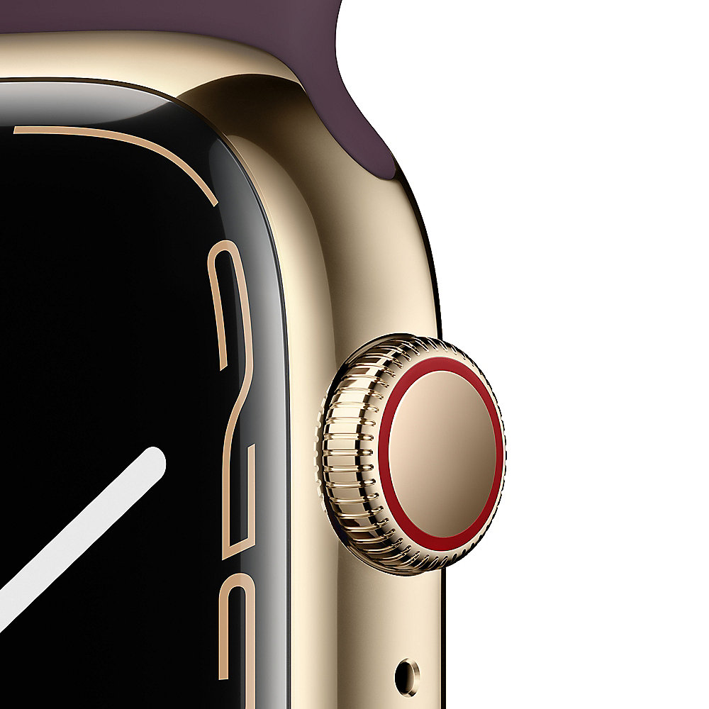 Apple Watch Series 7 LTE 41mm Edelstahlgehäuse Gold Sportarmband Dunkelkirsch