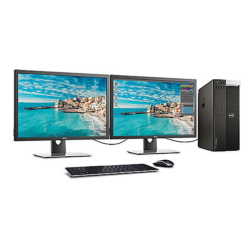 DELL UltraSharp UP3017A 66,2cm (30") WQXGA Profi-Monitor HDMI/DP PremierColor